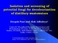 Isolation and screening of potential fungi for decolourization of distillery wastewaters PowerPoint PPT Presentation