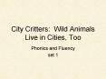 City Critters: Wild Animals Live in Cities, Too PowerPoint PPT Presentation