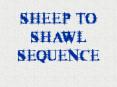 SHEEP TO SHAWL SEQUENCE PowerPoint PPT Presentation
