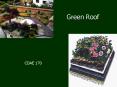 Green Roof PowerPoint PPT Presentation