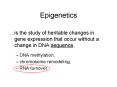 Epigenetics PowerPoint PPT Presentation