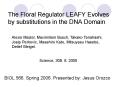 The Floral Regulator LEAFY Evolves by substitutions in the DNA Domain PowerPoint PPT Presentation