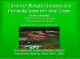 Control of Botrytis Diseases and Poinsettia Scab on Floral Crops PowerPoint PPT Presentation