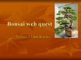 Bonsai web quest PowerPoint PPT Presentation