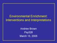 Environmental Enrichment: Interventions and Interpretations