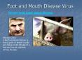 Foot and Mouth Disease Virus PowerPoint PPT Presentation