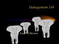 Management 340 PowerPoint PPT Presentation