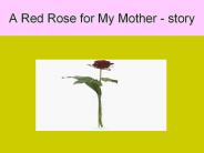 A Red Rose for My Mother - story