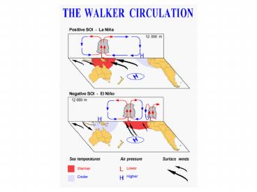 Southern Oscillation Index
