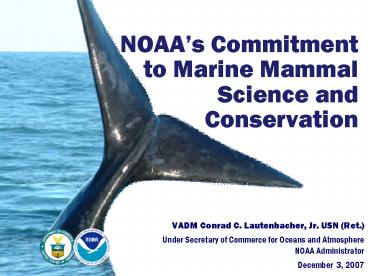 NOAAs Commitment to Marine Mammal Science and Conservation
