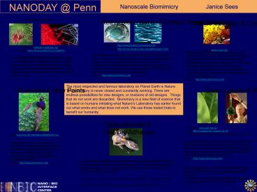 Nanoscale Biomimicry Janice Sees