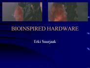 BIOINSPIRED HARDWARE
