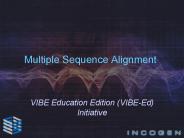 Multiple Sequence Alignment