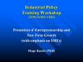 Industrial%20Policy%20Training%20Workshop%20(TIPS-SADRN-CREI) PowerPoint PPT Presentation
