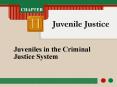 Juveniles in the Criminal Justice System PowerPoint PPT Presentation