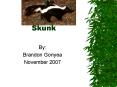 Skunk PowerPoint PPT Presentation