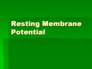 Resting Membrane Potential