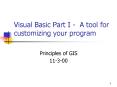 Visual Basic Part I - A tool for customizing your program PowerPoint PPT Presentation