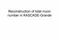 Reconstruction of total muon number in KASCADE-Grande PowerPoint PPT Presentation