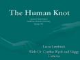 The Human Knot PowerPoint PPT Presentation