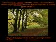 National Geographic Photos 2006 PowerPoint PPT Presentation