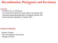 Recombination, Phylogenies and Parsimony PowerPoint PPT Presentation
