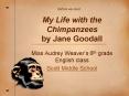 My Life with the Chimpanzees by Jane Goodall PowerPoint PPT Presentation