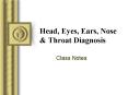 Head, Eyes, Ears, Nose PowerPoint PPT Presentation