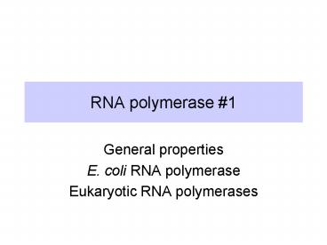 RNA polymerase