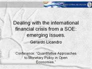 Dealing with the international financial crisis from a SOE: emerging issues.