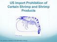 US Import Prohibition of Certain Shrimp and Shrimp Products PowerPoint PPT Presentation