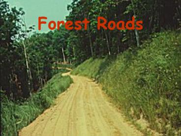 Forest Roads