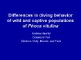 Differences in diving behavior of wild and captive populations of Phoca vitulina PowerPoint PPT Presentation