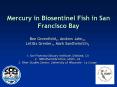 Mercury in Biosentinel Fish in San Francisco Bay PowerPoint PPT Presentation