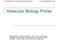 Molecular Biology Primer PowerPoint PPT Presentation