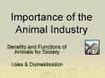 Importance of the Animal Industry PowerPoint PPT Presentation