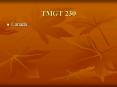 TMGT 230 PowerPoint PPT Presentation