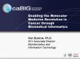 Enabling the Molecular Medicine Revolution in Cancer through Biomedical Informatics PowerPoint PPT Presentation