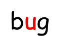 bug PowerPoint PPT Presentation