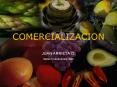 COMERCIALIZACION PowerPoint PPT Presentation