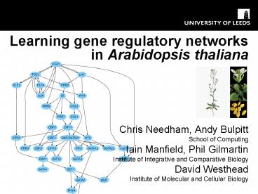 Learning gene regulatory networks in Arabidopsis thaliana