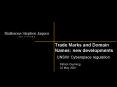 Trade Marks and Domain Names: new developments PowerPoint PPT Presentation