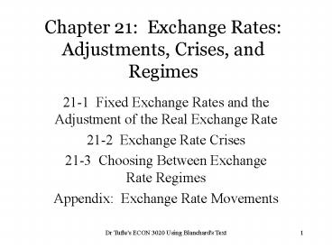 Chapter 21: Exchange Rates: Adjustments, Crises, and Regimes