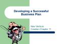 Developing a Successful Business Plan PowerPoint PPT Presentation