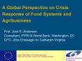 A Global Perspective on Crisis Response of Food Systems and Agribusiness PowerPoint PPT Presentation