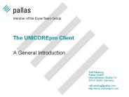 The UNICOREpro Client