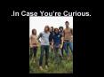 'In Case Youre Curious' PowerPoint PPT Presentation