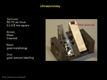 presentation player overlay