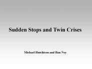 Sudden Stops and Twin Crises