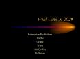 Wild Cats in 2020 PowerPoint PPT Presentation